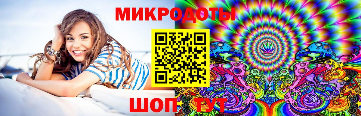 Галлюциногенные грибы Psilocybine cubensis Зима