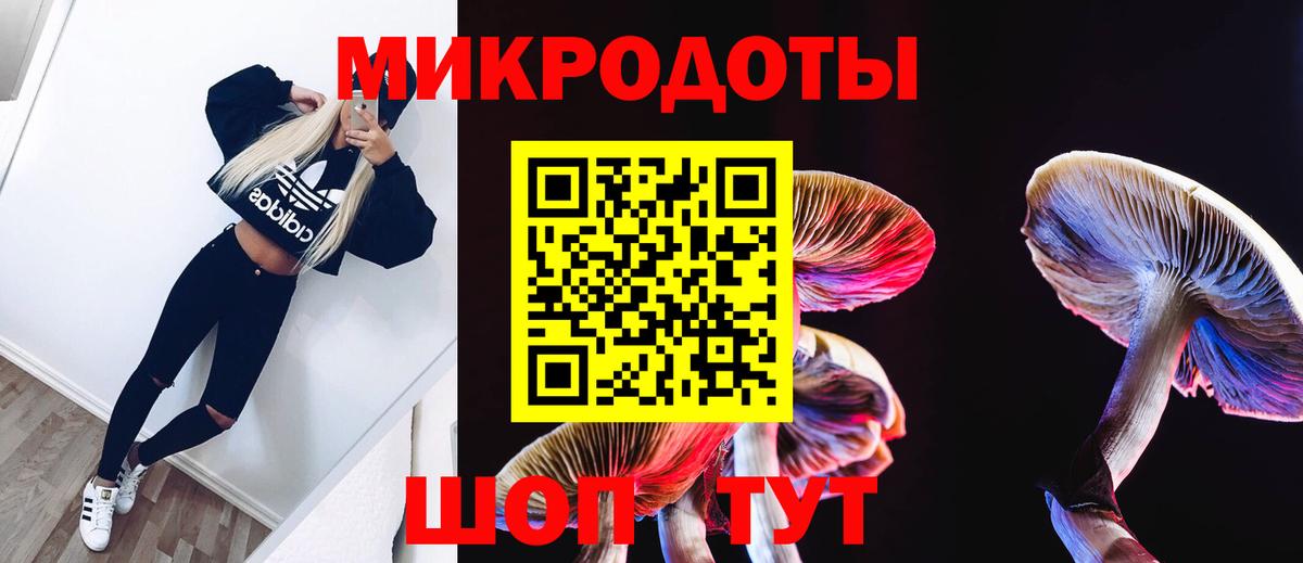 Псилоцибиновые грибы MAGIC MUSHROOMS  Вход с VPN  Зима  Псилоцибиновые грибы GOLDEN TEACHER 